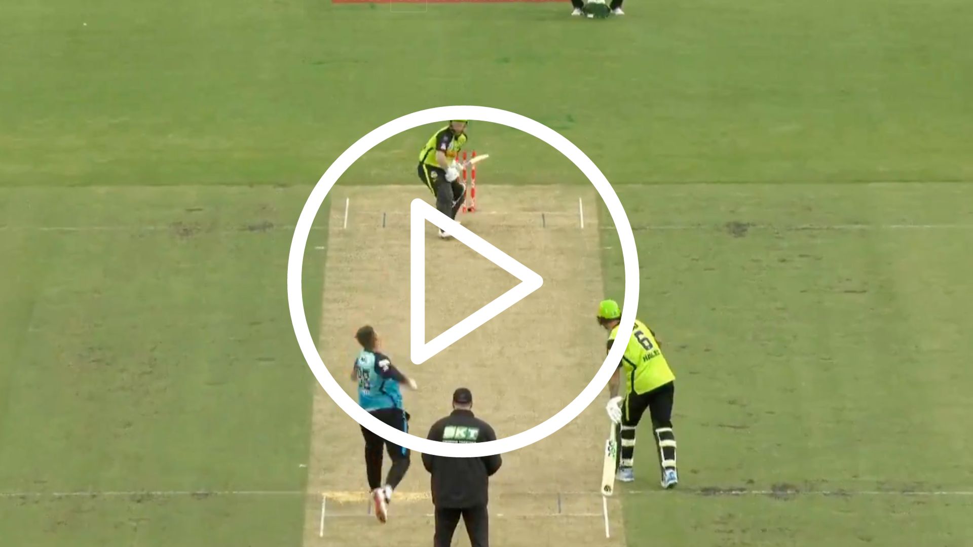 [WATCH] David Warner Departs As Sydney Thunder Jolted Early By Strikers In BBL 2023-24